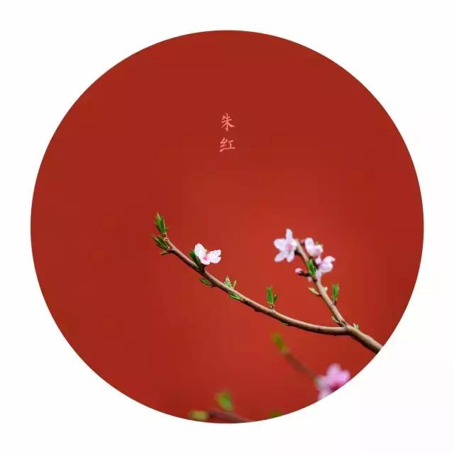 故宫中丰富的颜色各有什么寓意，世间最美的颜色在故宫