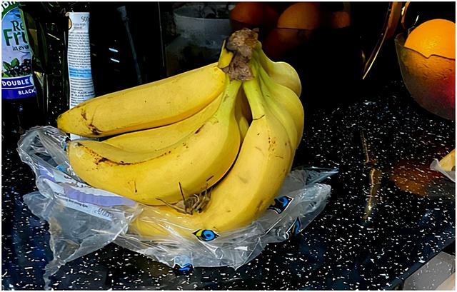 世界上最毒蜘蛛都生活在哪，千只第一剧毒蜘蛛藏身香蕉