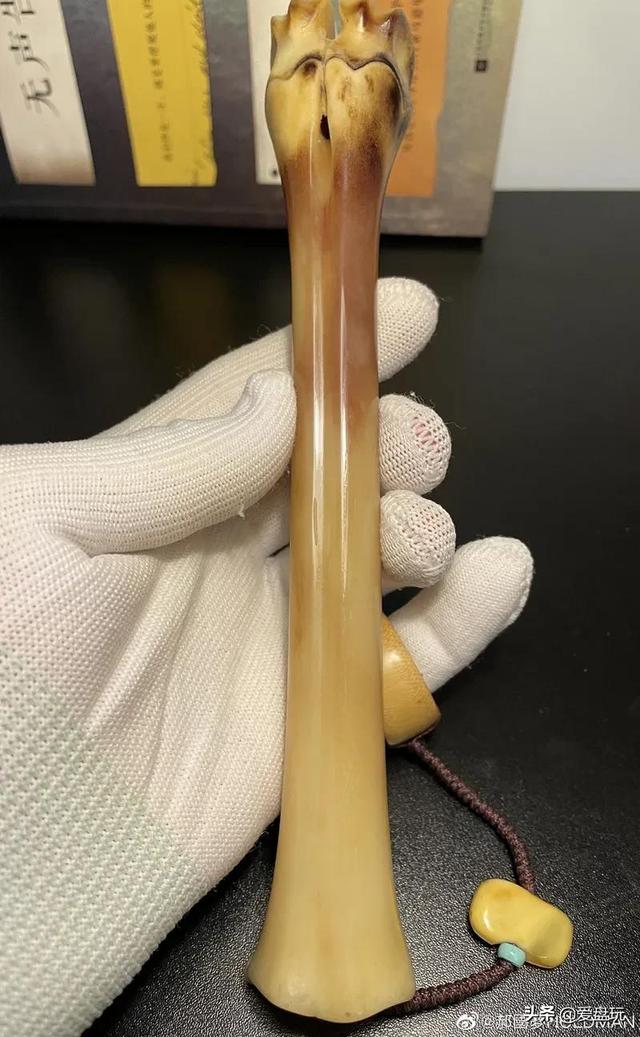 长白山挖人参遵循古法，长白山采挖野山参民间习俗