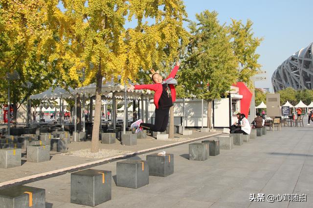 奥林匹克大道公园，奥林匹克公园美景图（小岛土著都不一定了解哦）