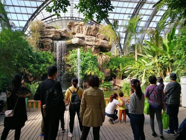 天津热带植物园，天津周边一年四季26度旅游景点（泰达热带植物园五一开园啦）