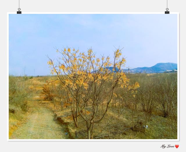 无人机买哪种好，新手最适合买的无人机（无人机航拍注意事项及新手购买无人机推荐）