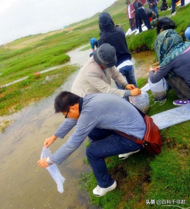 青海湖的鱼是不是很多，贝加尔湖是淡水却生长着海洋生物