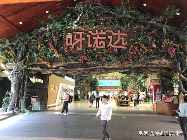 呀诺达旅游攻略，呀诺达旅游攻略路线图（海南冬季旅游热门景点 呀诺达热带雨林）