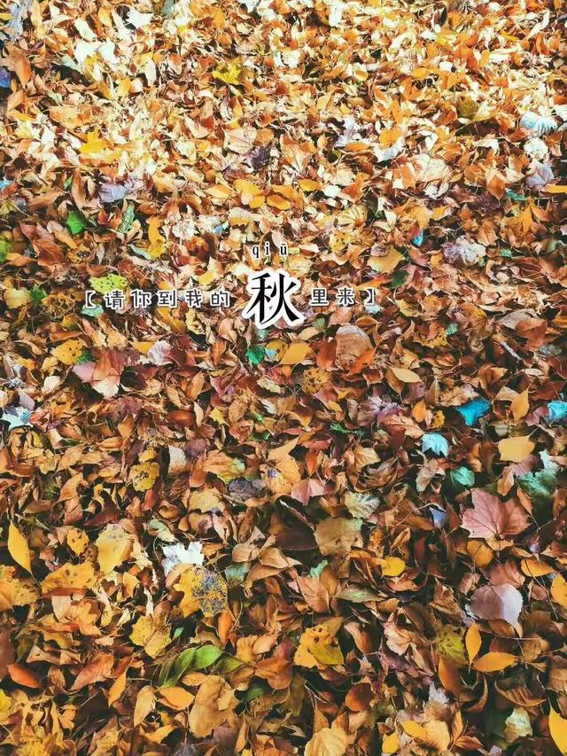 适合发夜晚说说的句子，适合深夜发的说说