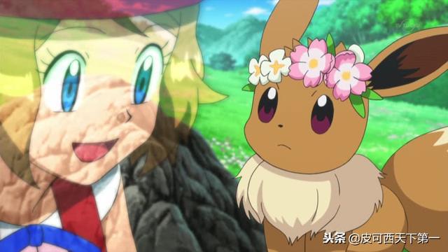 神奇宝贝里面的十大幻兽，在动画中出现的十三只伊布