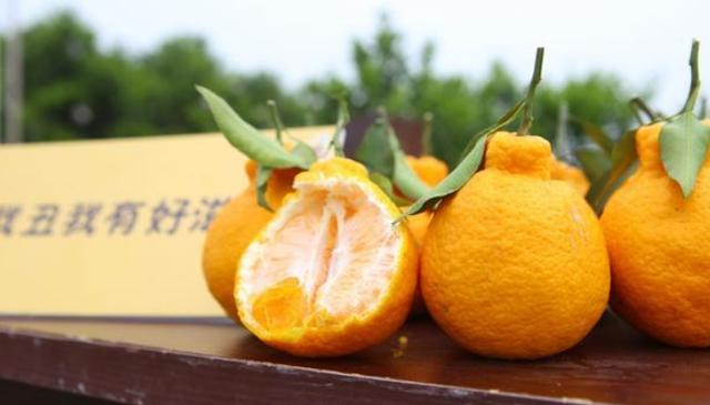 成都的四大特产是什么，四川成都这四种特产