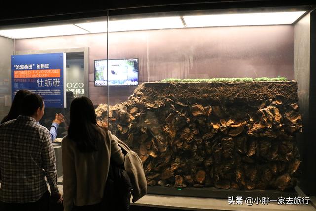 国家海洋博物馆，国家海洋博物馆官网讲解（国家海洋博物馆游记）