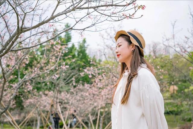 深圳游玩攻略必去的地方免费，7个遛娃好去处全免费