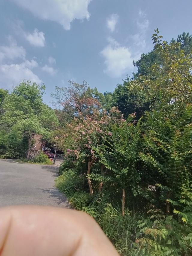 长沙市内十大公园，长沙本地人告诉你这10个地方不能少