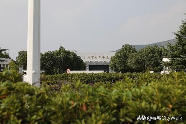 上海小时候游记，儿时记忆里的上海