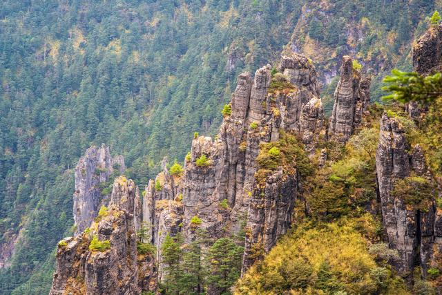 神农架怎么旅游最好，最全神农架旅行攻略