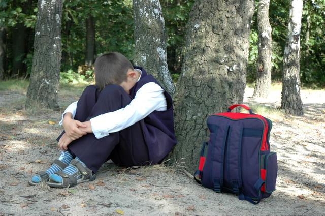 史泰龙超级战警，西尔维斯特史泰龙（史泰龙巅峰时刻）