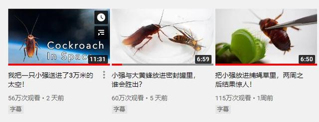 b站老番茄抓猴子游戏，单视频拿过3800万播放