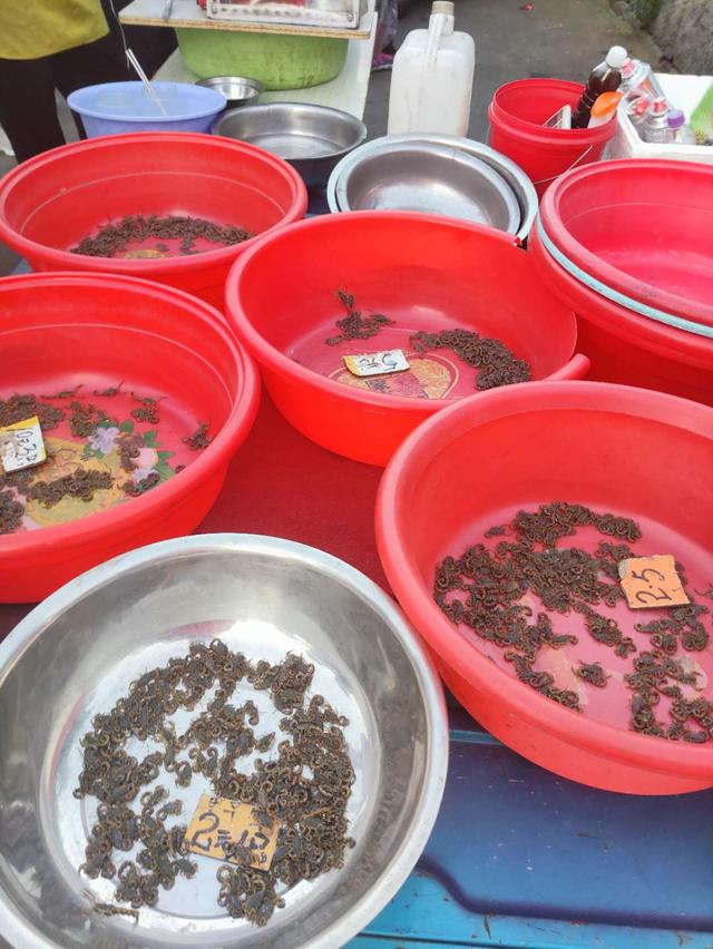 青岛有几个小吃夜市，青岛夜市上这两样重口味东西