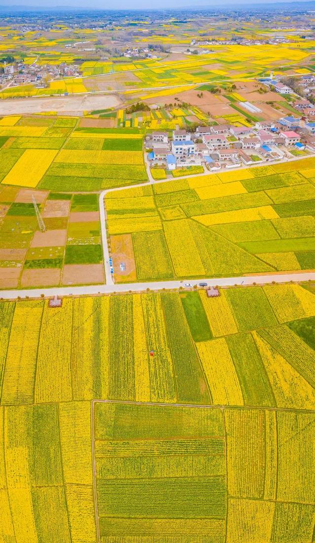 3月旅游的最佳地点，3月去什么地方旅游最好呢（三月份旅游一定要去的六个地方）