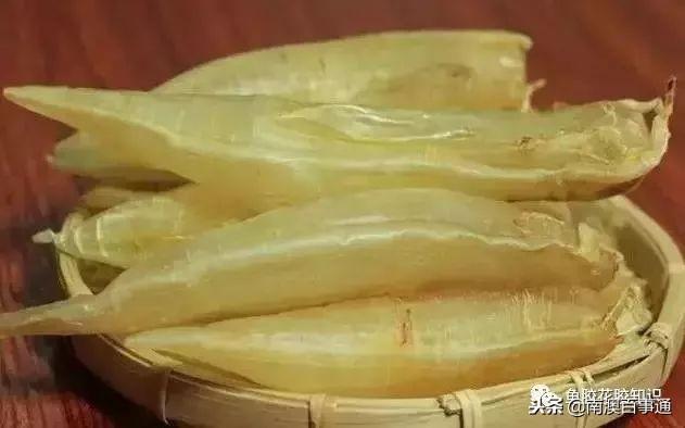 鱼胶哪种品种好，涨知识鱼胶种类大全