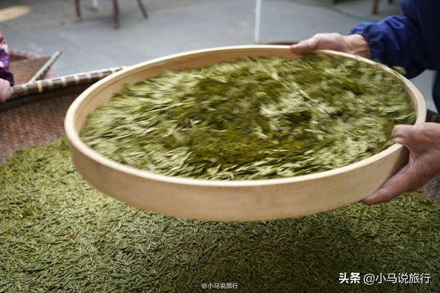 正宗西湖龙井茶园，杭州著名的龙井茶村
