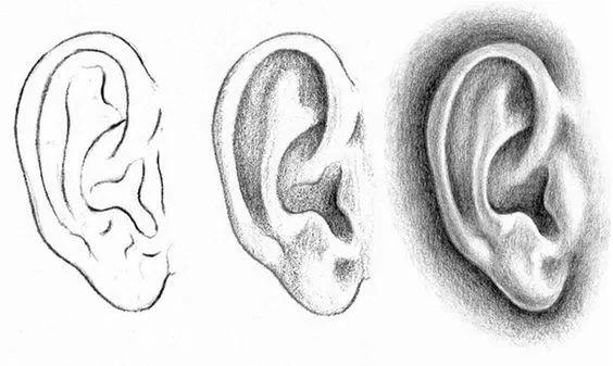 素描画五官详解，素描五官深度剖析