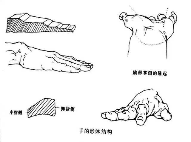 怎么画画更好看，画画的技巧画什么画最好看（宫崎骏的动画太好看了）