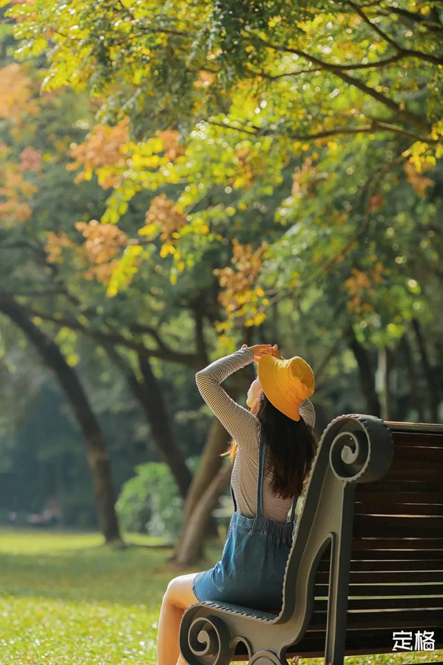 莲花山公园 网红打卡地，莲花山公园又红了