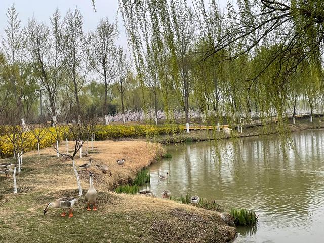 沾衣欲湿杏花雨的下一句，沾衣欲湿杏花雨后面一句是什么（吹面不寒杨柳风。诗句常被引用）