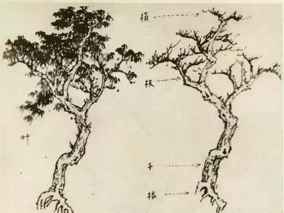 树怎么画简单又好看，如何画树简单又漂亮（水彩唯美风景画，手把手教你画）