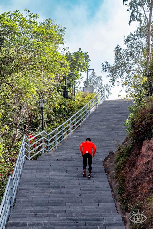 深圳旅游攻略景点推荐，深圳十条旅游路线（不完整的旅游景点和美食选择）