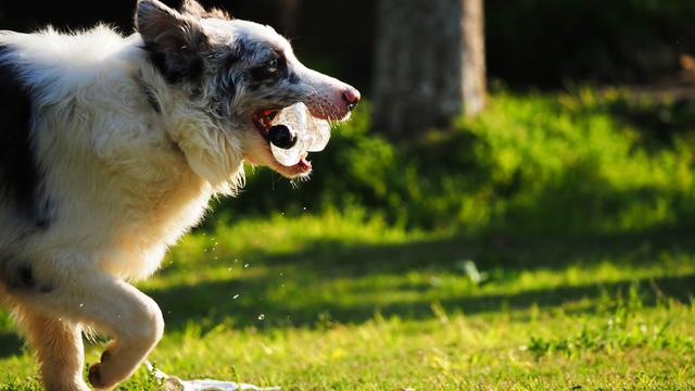 奥林巴斯em1，奥林巴斯em1mark3测评