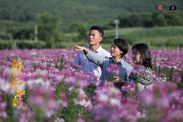 十部必看乡村电视剧，农村题材的电视剧