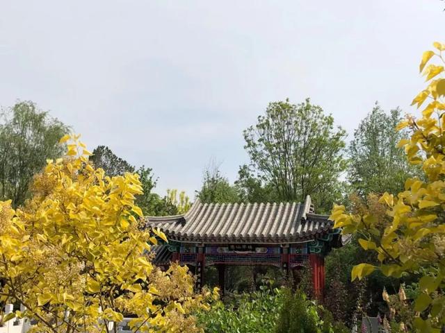 北京必玩景点排名，北京必玩的十个景点排名榜单（北京最值得去的12个景区）