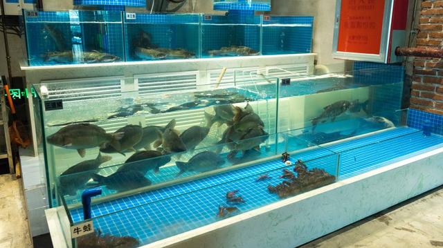 激情椒麻鱼的做法大全，多吃酸爽开胃菜