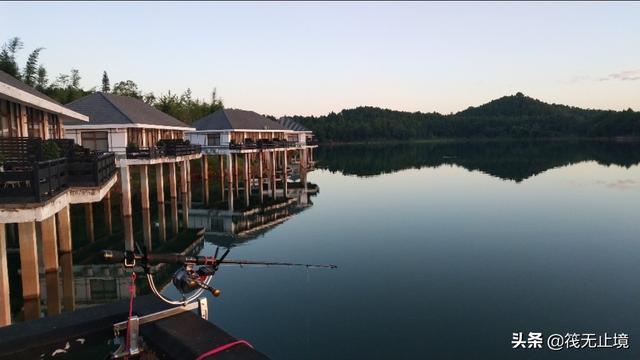 品尝仙海生态鱼，仙海湖哪家鱼好吃