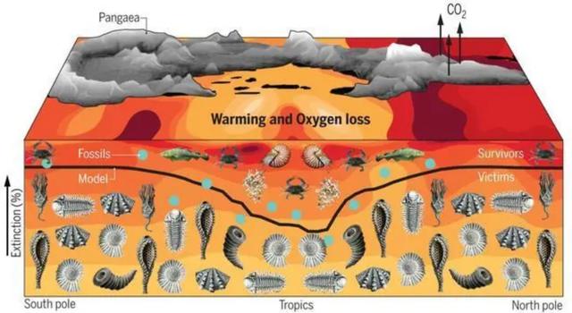 第六次生物大灭绝，地球正进入第六次生物大灭绝（5次生物大灭绝地球经历了什么）