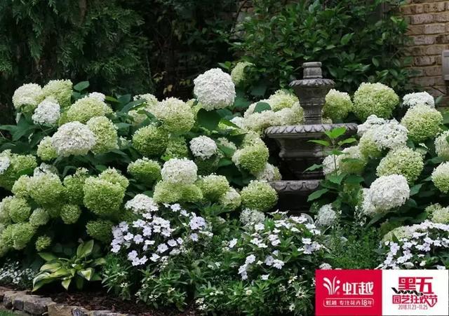 园艺批发市场，这个园艺市场本周末放大招