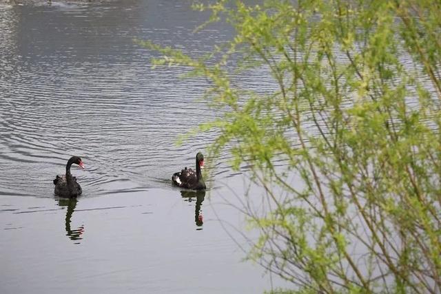 石泉有哪些旅游景区，端午节自驾石泉两日游
