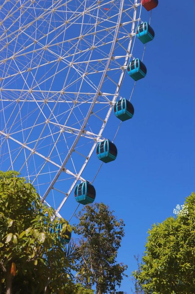 南宁附近花海景点推荐，南宁这几处花海，美了