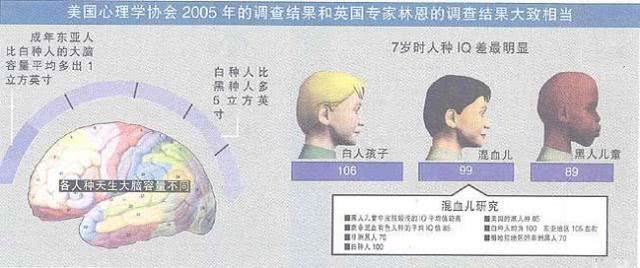 全球人种智商排名，世界上智商最高国家