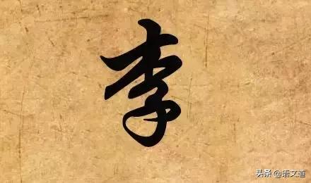百家姓林排第几，福建省姓氏最新排名