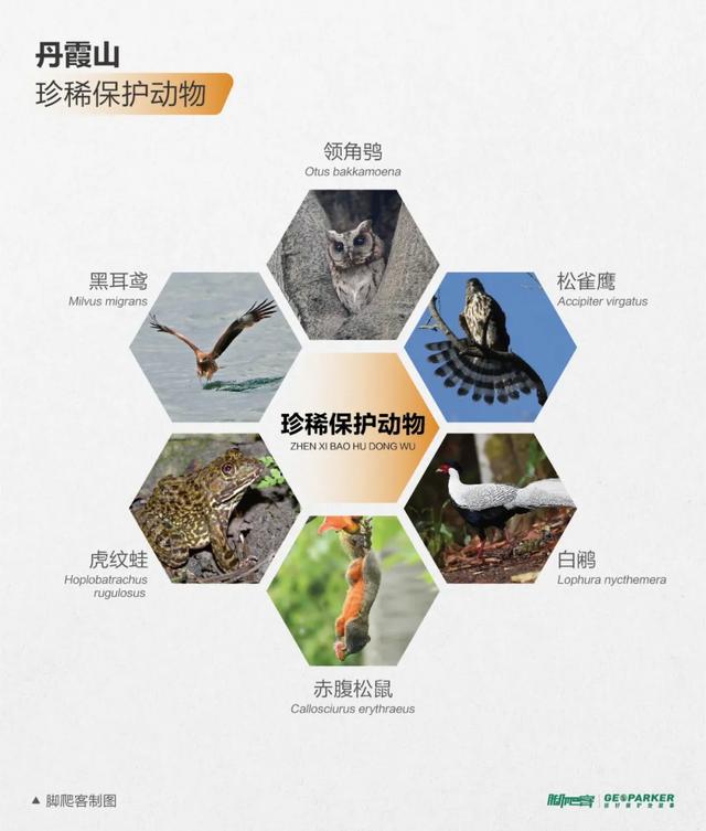 丹霞山海拔多少米，丹霞山重要景点有哪些（广东韶关丹霞山进入观云海最佳时期）