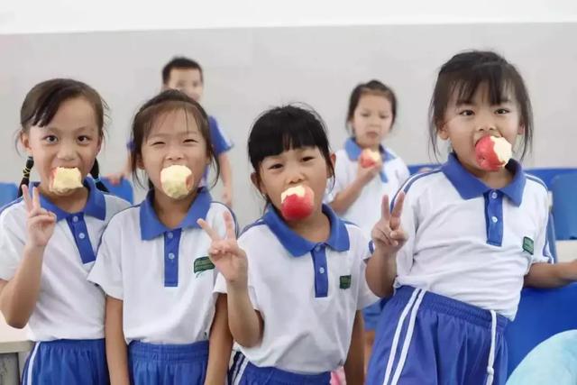 盘点深圳历史最悠久的10所小学，深圳出名的小学有哪些