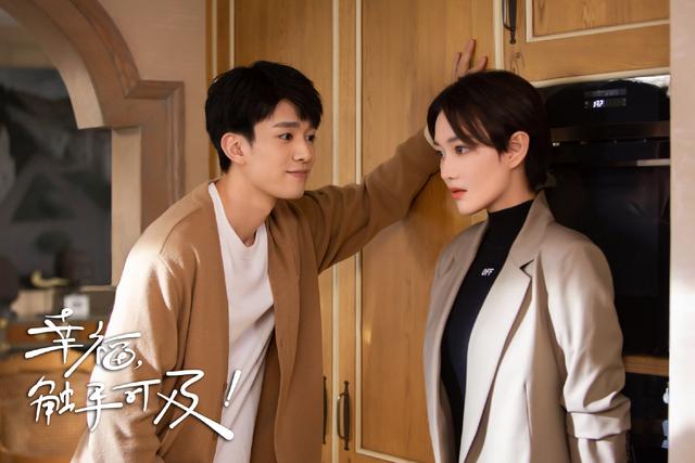 高甜姐弟恋甜宠剧，十七部姐弟恋的甜宠剧