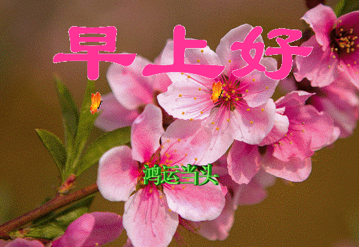 早上好的经典句子，适合发早上好的句子94句