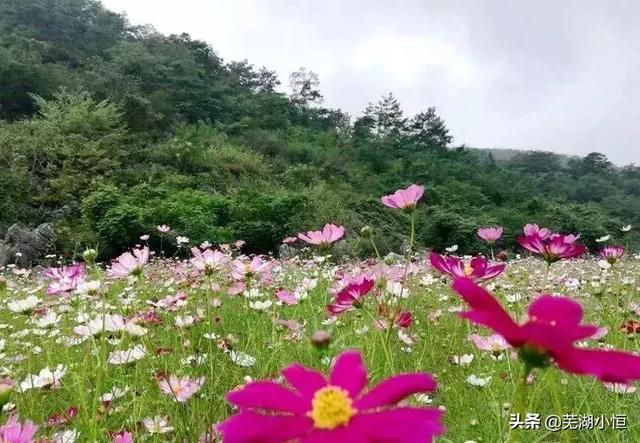 芜湖旅游攻略景点必去推荐，就去芜湖这些景美人少的地方过