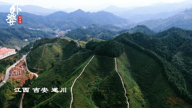 竹笋怎么做才好吃，竹笋怎样做才好吃呢（牢记这3步，竹笋爽脆好吃）