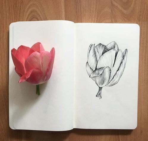 激励自己努力的句子，激励自己的句子精辟