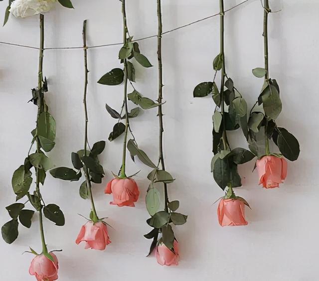 怎么制作干花的过程，快死的鲜花变文艺干花