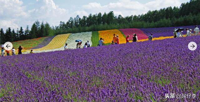 日本旅游攻略最值得去的景点，日本旅游推荐必去的36个不可错过的景点