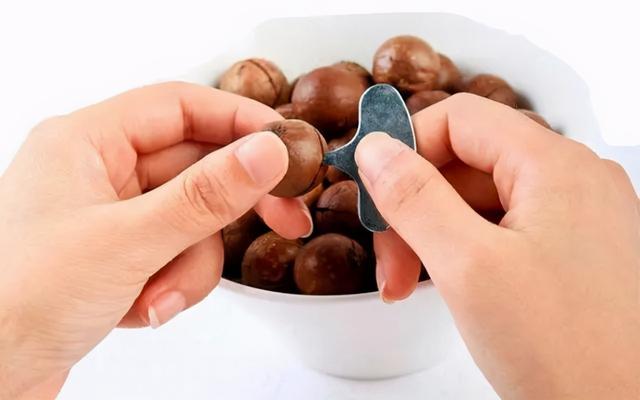 夏威夷果长什么样，原来夏威夷果是长这样的（夏威夷果：“名不副实”的坚果）