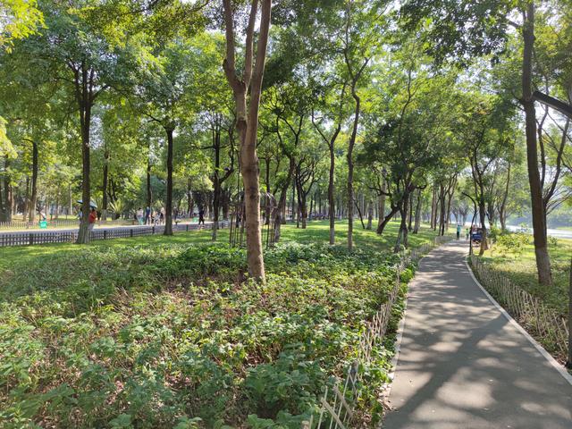 广州最适合去的公园，广州十个必打卡公园<免费篇>